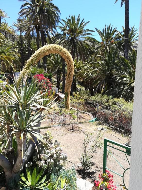 Casa Majores 巴列埃尔莫索 外观 照片